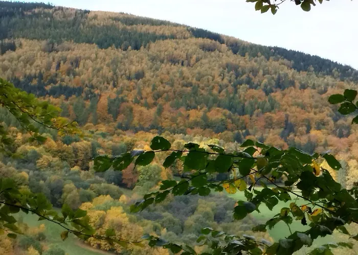 U Bartka Kamienna Gora